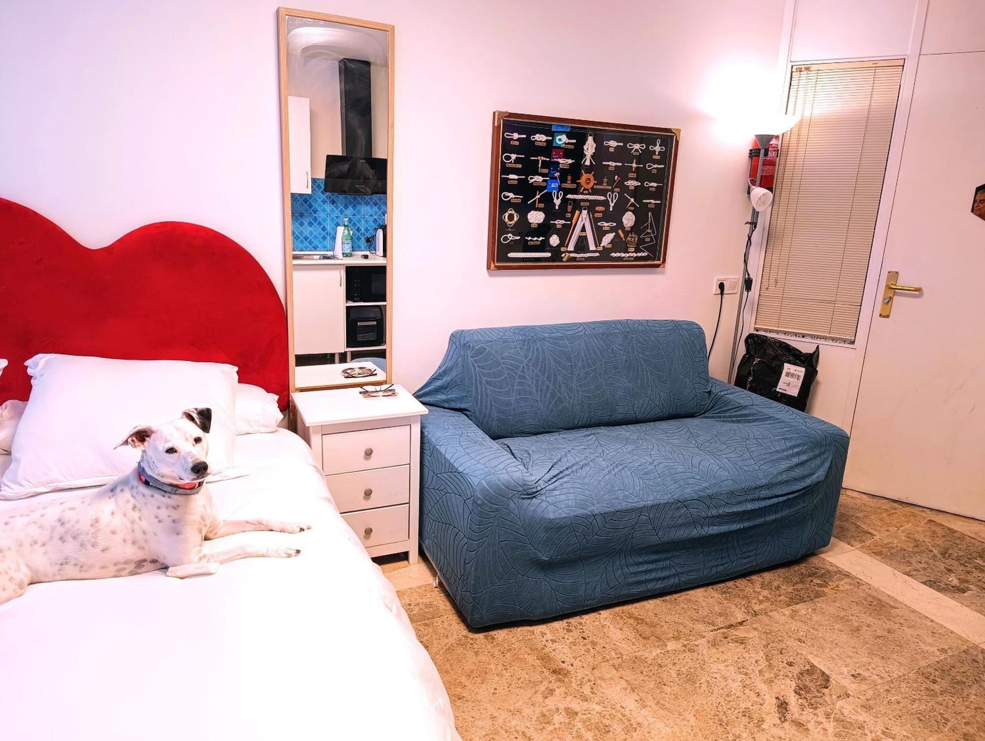 Hostal Estudios Badalona Luaran gambar