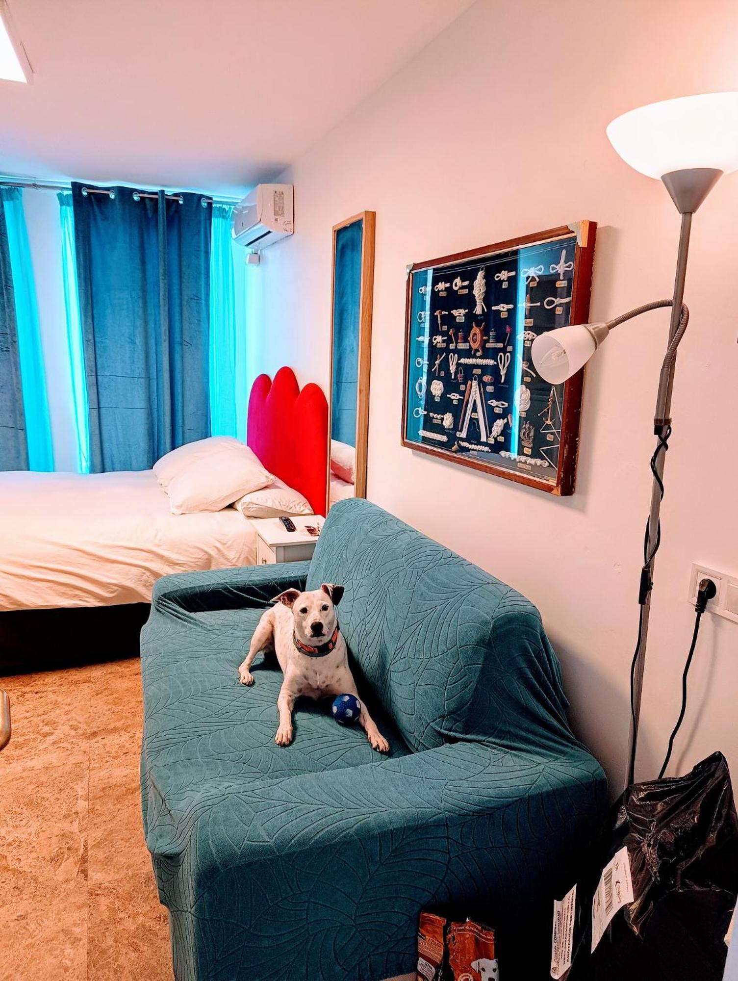 Hostal Estudios Badalona Luaran gambar
